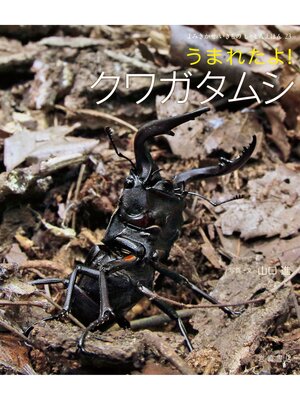 cover image of うまれたよ!クワガタムシ